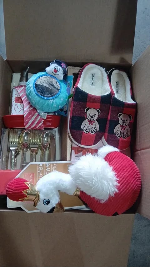 Christmas Mystery Box