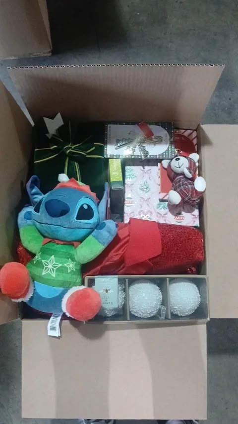 Christmas Mystery Box