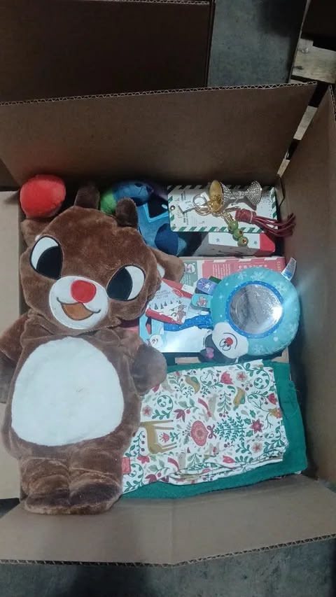 Christmas Mystery Box